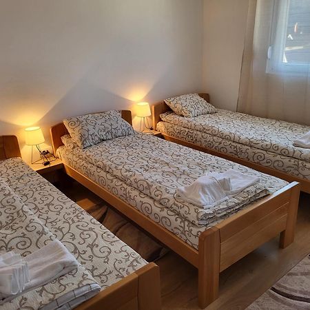 Vuk Apartman Donji Milanovac Exterior photo